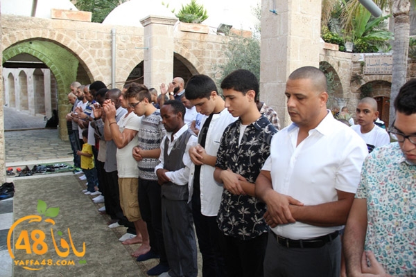 3eed kaber yaffa (7).JPG